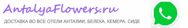 Заказ и Доставка цветов Анталия